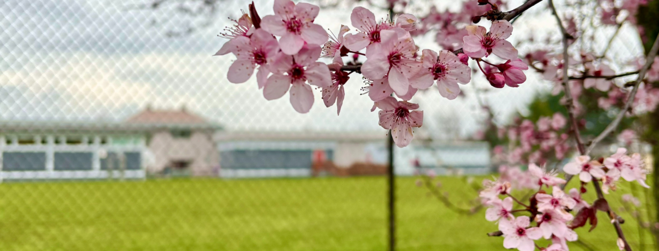 Upcoming Spring Break March 16-27