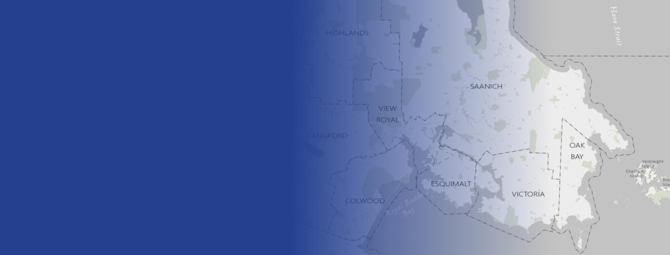 Trustee Electoral Areas Sept 9 Engagement Session