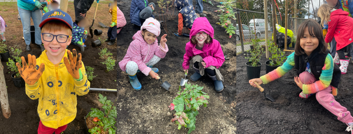 Tillicum Elementary Students Plant 1,200+ Shrubs and Trees