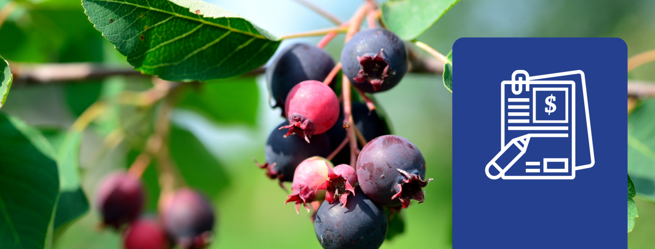 School Food Sustainability Grant